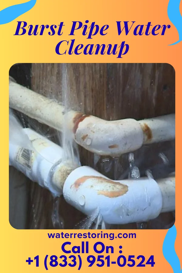Burst Pipe Water Cleanup in Rolla, MO