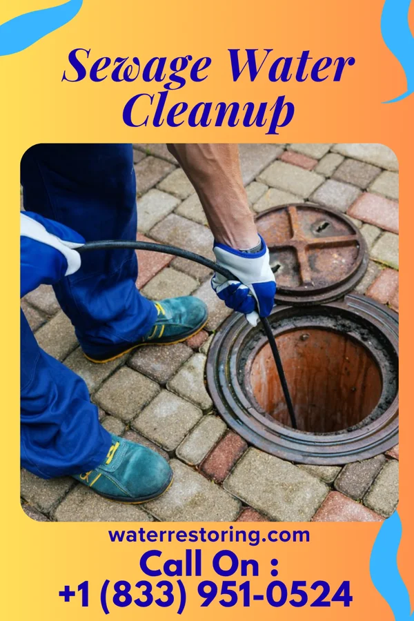Sewage Water Cleanup in Rolla, MO