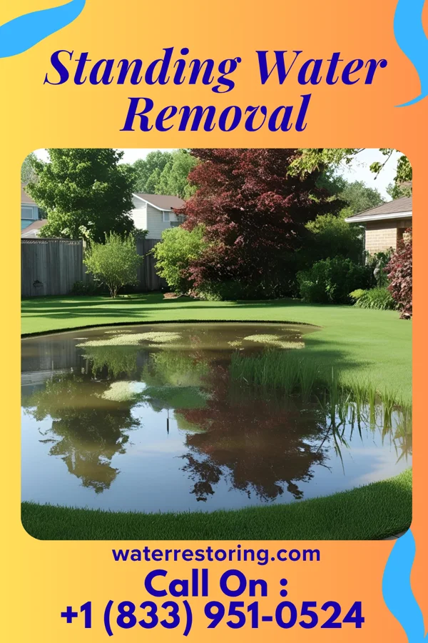Standing Water Removal in Rolla, MO